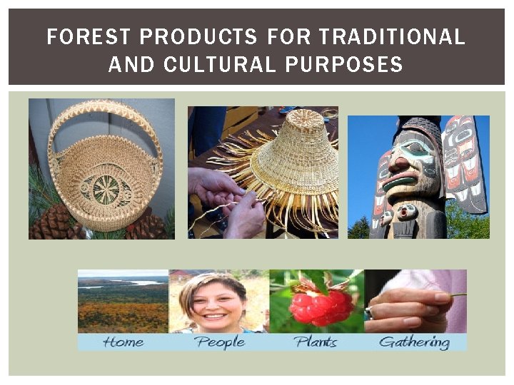 FOREST PRODUCTS FOR TRADITIONAL AND CULTURAL PURPOSES 