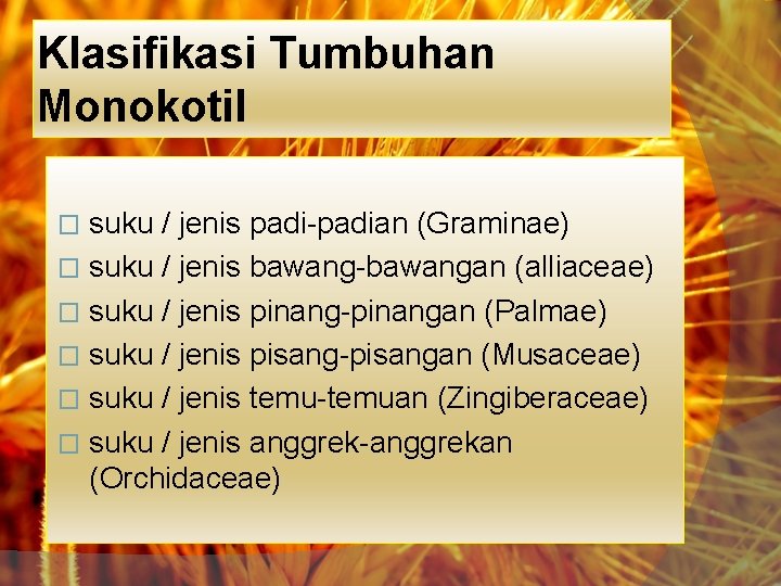 Klasifikasi Tumbuhan Monokotil suku / jenis padi-padian (Graminae) � suku / jenis bawang-bawangan (alliaceae)