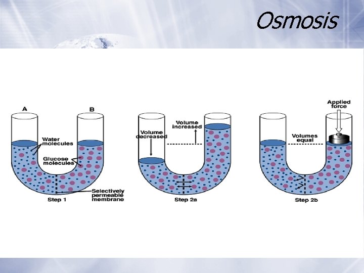 Osmosis Osmosis