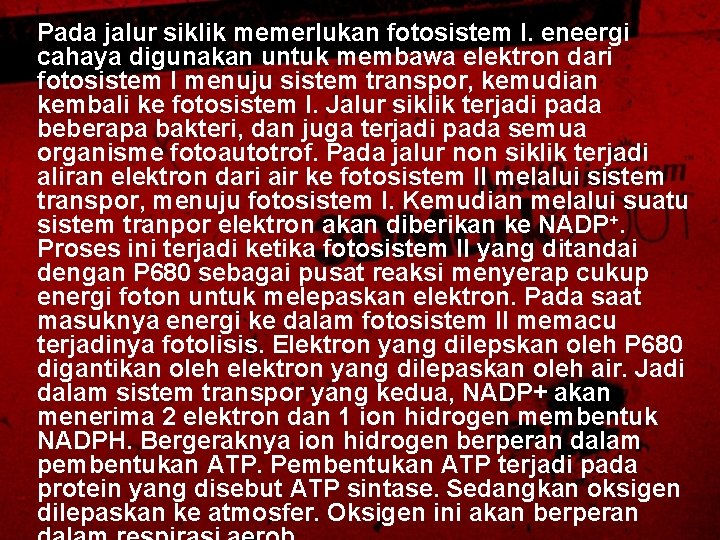 Pada jalur siklik memerlukan fotosistem I. eneergi cahaya digunakan untuk membawa elektron dari fotosistem Pada jalur siklik memerlukan fotosistem I. eneergi cahaya digunakan untuk membawa elektron dari fotosistem