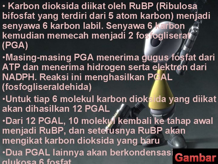 • Karbon dioksida diikat oleh Ru. BP (Ribulosa bifosfat yang terdiri dari 5 • Karbon dioksida diikat oleh Ru. BP (Ribulosa bifosfat yang terdiri dari 5