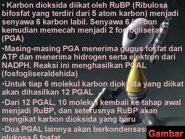  • Karbon dioksida diikat oleh Ru. BP (Ribulosa bifosfat yang terdiri dari 5