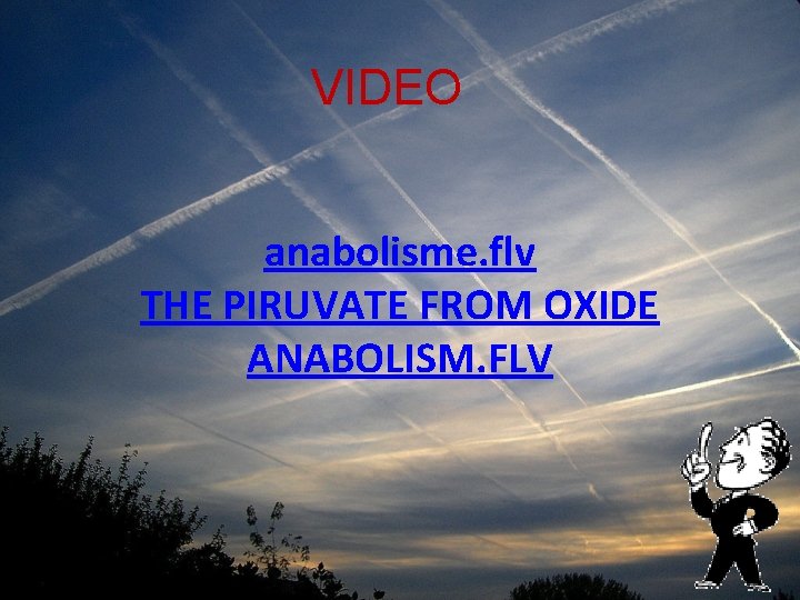 VIDEO anabolisme. flv THE PIRUVATE FROM OXIDE ANABOLISM. FLV 