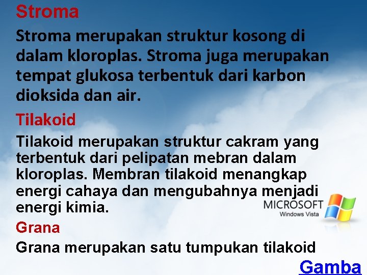 Stroma merupakan struktur kosong di dalam kloroplas. Stroma juga merupakan tempat glukosa terbentuk dari