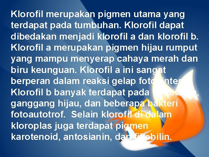 Klorofil merupakan pigmen utama yang terdapat pada tumbuhan. Klorofil dapat dibedakan menjadi klorofil a Klorofil merupakan pigmen utama yang terdapat pada tumbuhan. Klorofil dapat dibedakan menjadi klorofil a