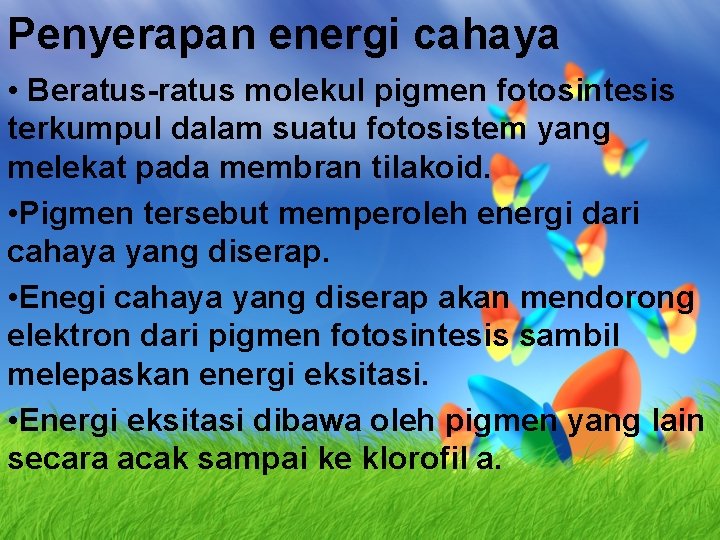 Penyerapan energi cahaya • Beratus-ratus molekul pigmen fotosintesis terkumpul dalam suatu fotosistem yang melekat Penyerapan energi cahaya • Beratus-ratus molekul pigmen fotosintesis terkumpul dalam suatu fotosistem yang melekat