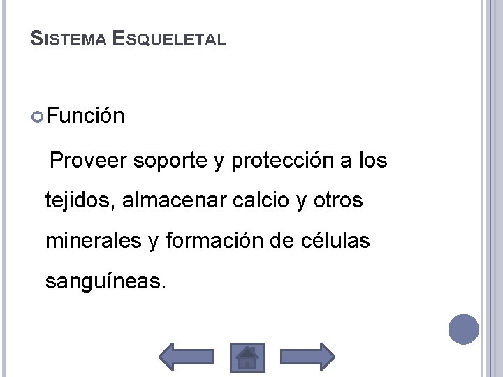 SISTEMA ESQUELETAL Función Proveer soporte y protección a los tejidos, almacenar calcio y otros