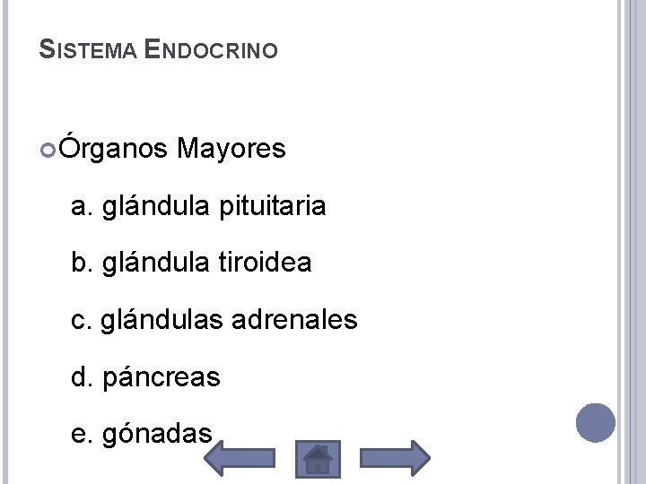 SISTEMA ENDOCRINO Órganos Mayores a. glándula pituitaria b. glándula tiroidea c. glándulas adrenales d.
