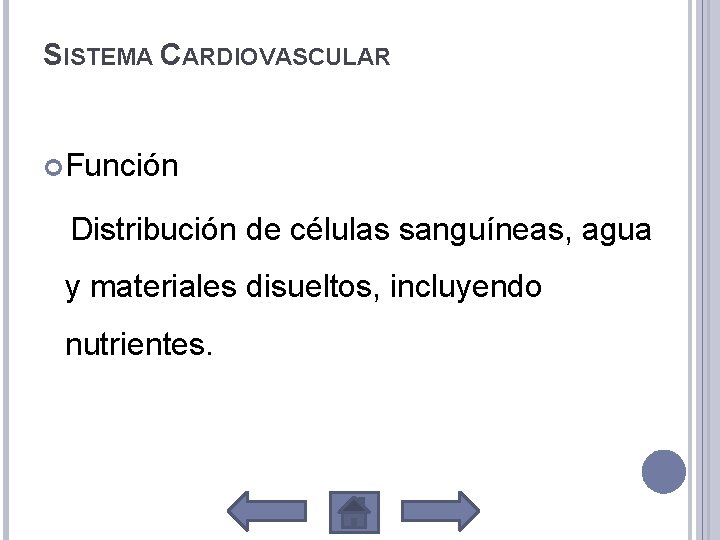 SISTEMA CARDIOVASCULAR Función Distribución de células sanguíneas, agua y materiales disueltos, incluyendo nutrientes. 