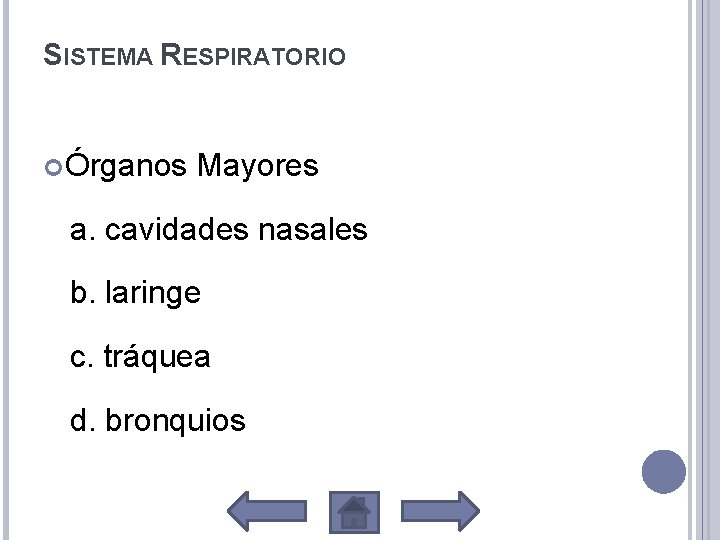 SISTEMA RESPIRATORIO Órganos Mayores a. cavidades nasales b. laringe c. tráquea d. bronquios 