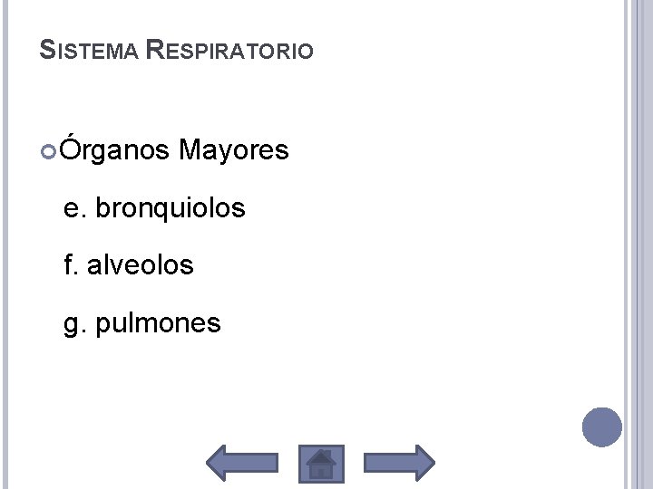 SISTEMA RESPIRATORIO Órganos Mayores e. bronquiolos f. alveolos g. pulmones 