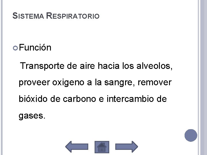 SISTEMA RESPIRATORIO Función Transporte de aire hacia los alveolos, proveer oxigeno a la sangre,