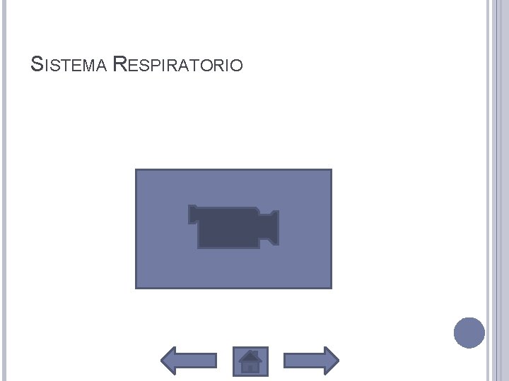 SISTEMA RESPIRATORIO 