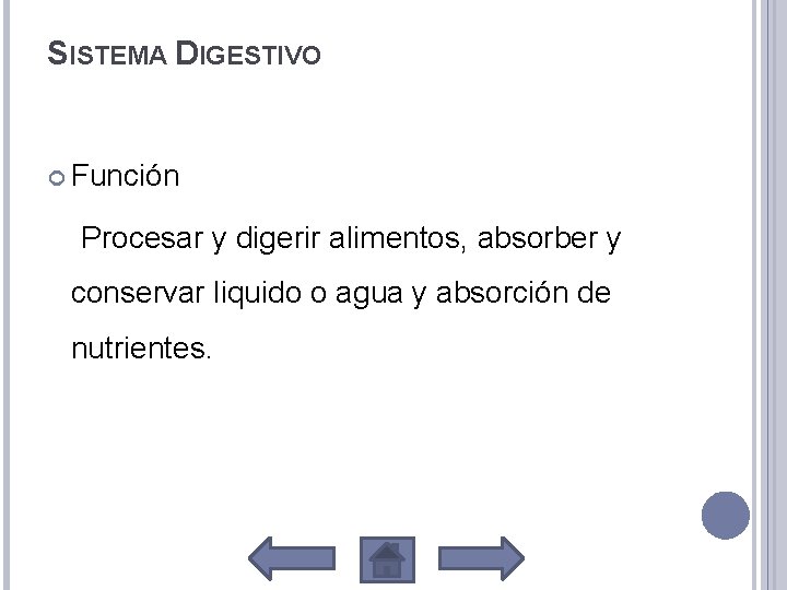 SISTEMA DIGESTIVO Función Procesar y digerir alimentos, absorber y conservar liquido o agua y