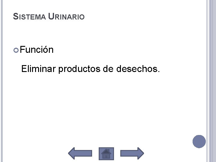 SISTEMA URINARIO Función Eliminar productos de desechos. 