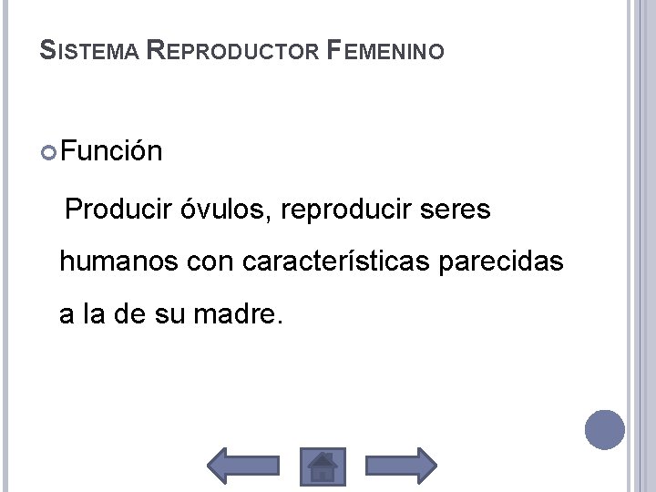 SISTEMA REPRODUCTOR FEMENINO Función Producir óvulos, reproducir seres humanos con características parecidas a la