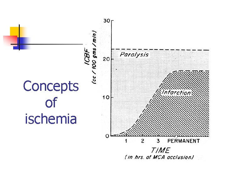 Concepts of ischemia 