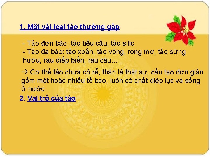 1. Một vài loại tảo thường gặp - Tảo đơn bào: tảo tiểu cầu,