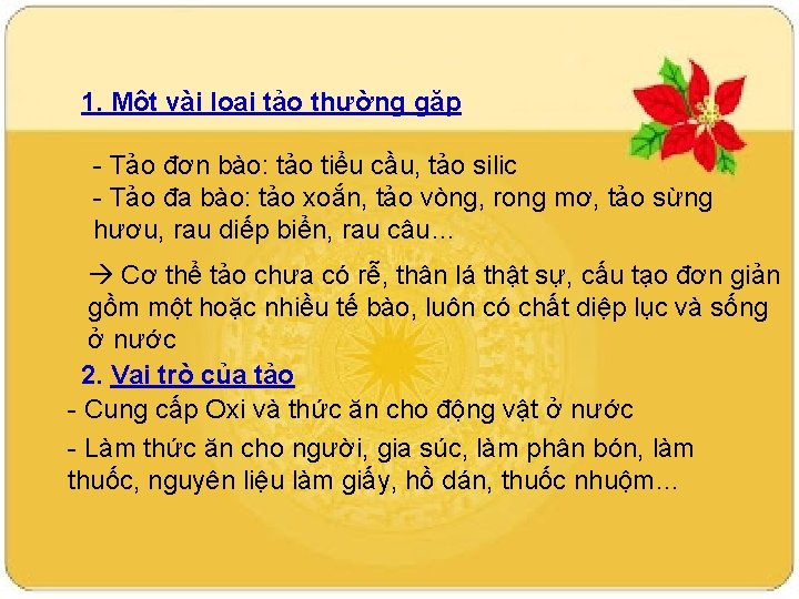 1. Một vài loại tảo thường gặp - Tảo đơn bào: tảo tiểu cầu,