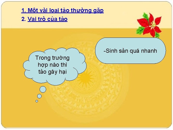 1. Một vài loại tảo thường gặp 2. Vai trò của tảo -Sinh sản