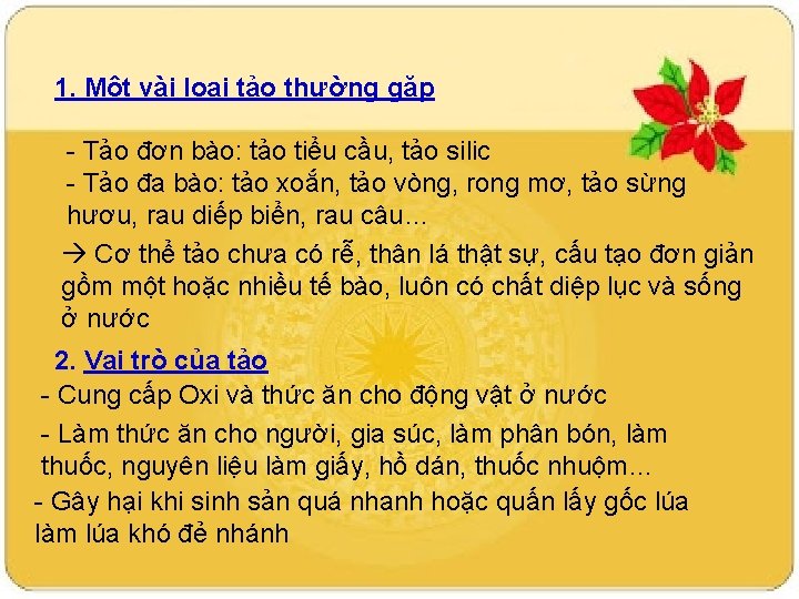 1. Một vài loại tảo thường gặp - Tảo đơn bào: tảo tiểu cầu,