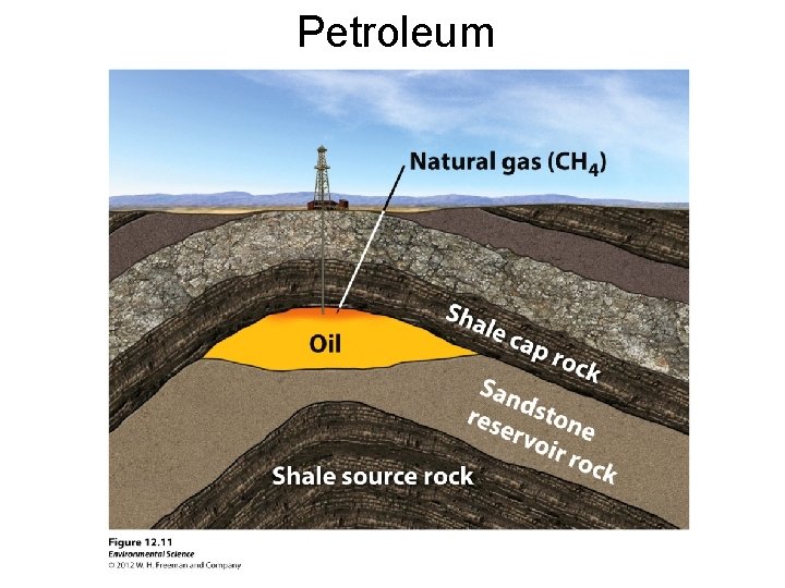 Petroleum 