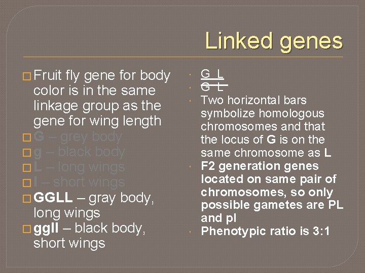 Linked genes � Fruit fly gene for body color is in the same linkage