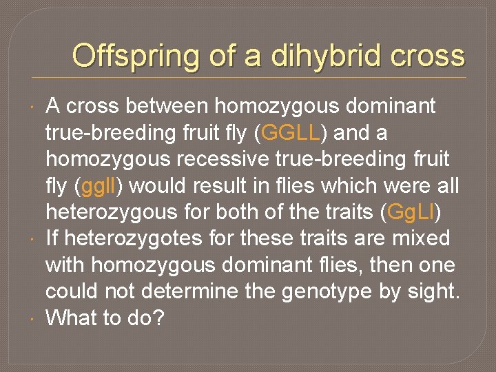 Offspring of a dihybrid cross A cross between homozygous dominant true-breeding fruit fly (GGLL)