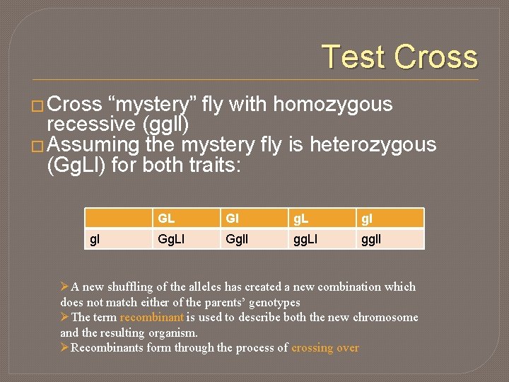 Test Cross � Cross “mystery” fly with homozygous recessive (ggll) � Assuming the mystery