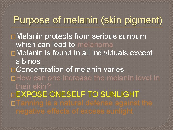 Purpose of melanin (skin pigment) �Melanin protects from serious sunburn which can lead to