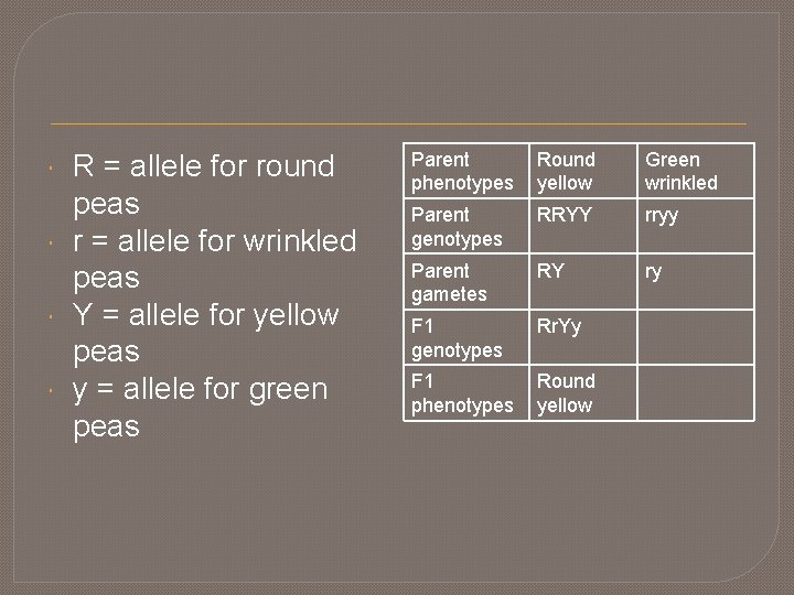  R = allele for round peas r = allele for wrinkled peas Y