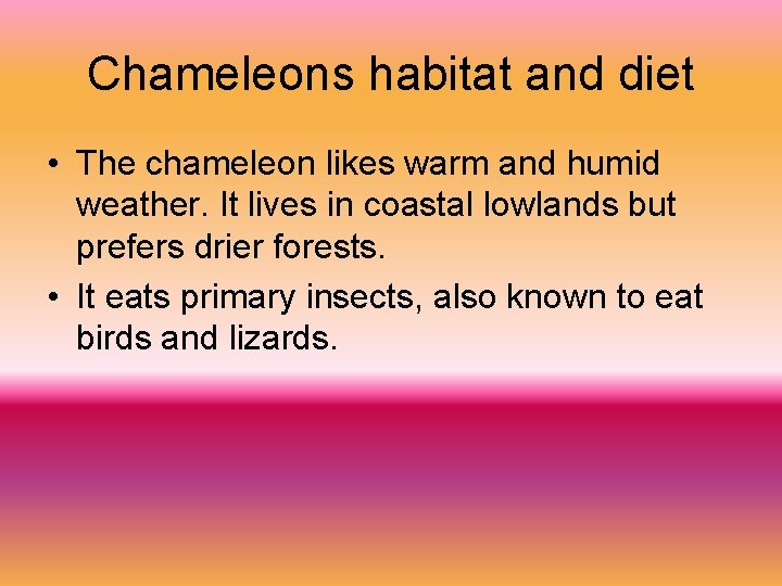 Chameleons habitat and diet • The chameleon likes warm and humid weather. It lives