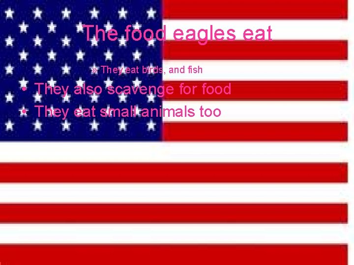The food eagles eat » They eat birds, and fish • They also scavenge