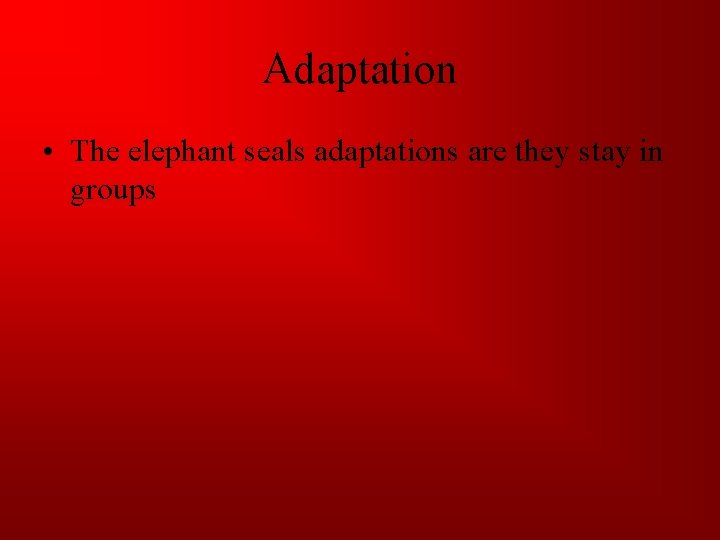 Adaptation • The elephant seals adaptations are they stay in groups 