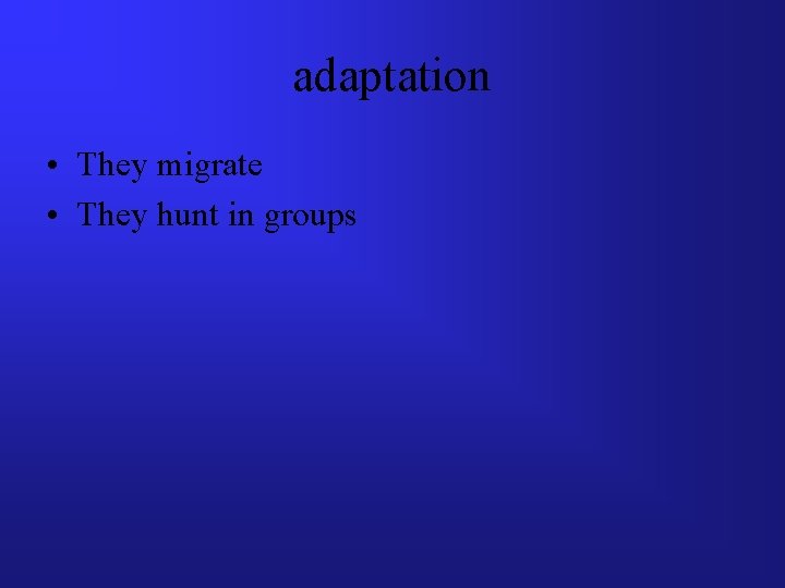 adaptation • They migrate • They hunt in groups 