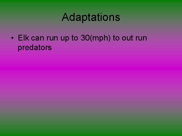 Adaptations • Elk can run up to 30(mph) to out run predators 