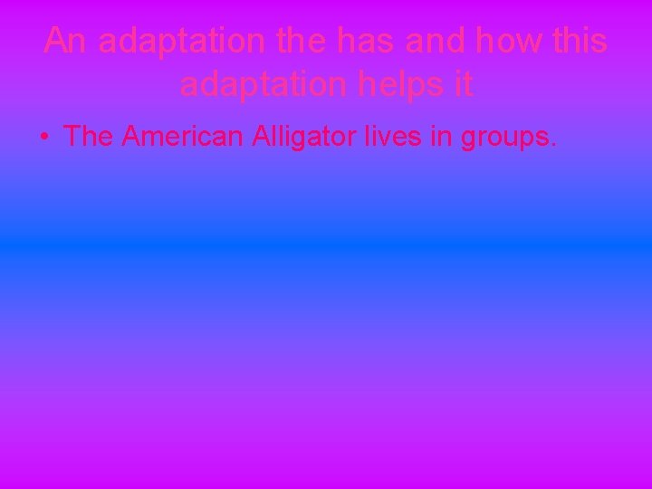 An adaptation the has and how this adaptation helps it • The American Alligator