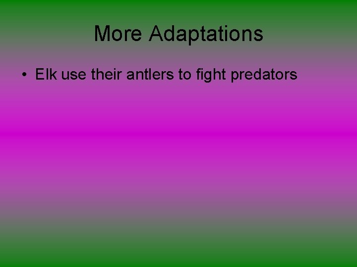 More Adaptations • Elk use their antlers to fight predators 