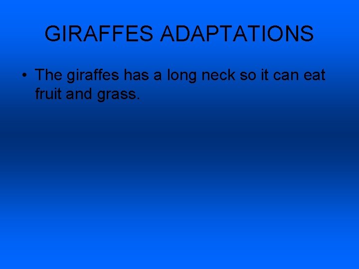 GIRAFFES ADAPTATIONS • The giraffes has a long neck so it can eat fruit
