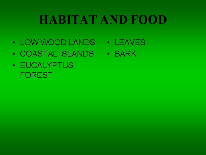 HABITAT AND FOOD • LOW WOOD LANDS • COASTAL ISLANDS • EUCALYPTUS FOREST •