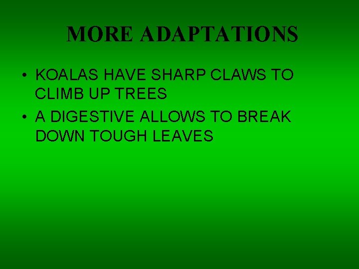 MORE ADAPTATIONS • KOALAS HAVE SHARP CLAWS TO CLIMB UP TREES • A DIGESTIVE