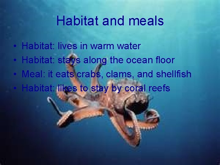 Habitat and meals • • Habitat: lives in warm water Habitat: stays along the