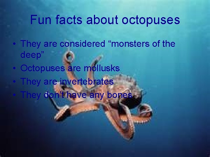 Fun facts about octopuses • They are considered “monsters of the deep” • Octopuses