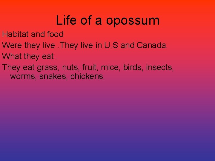 Life of a opossum Habitat and food Were they live. They live in U.