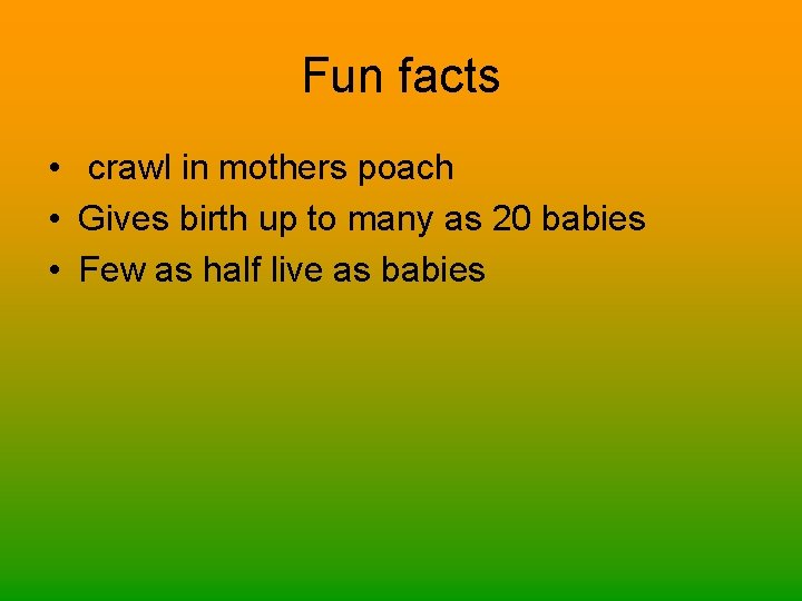 Fun facts • crawl in mothers poach • Gives birth up to many as