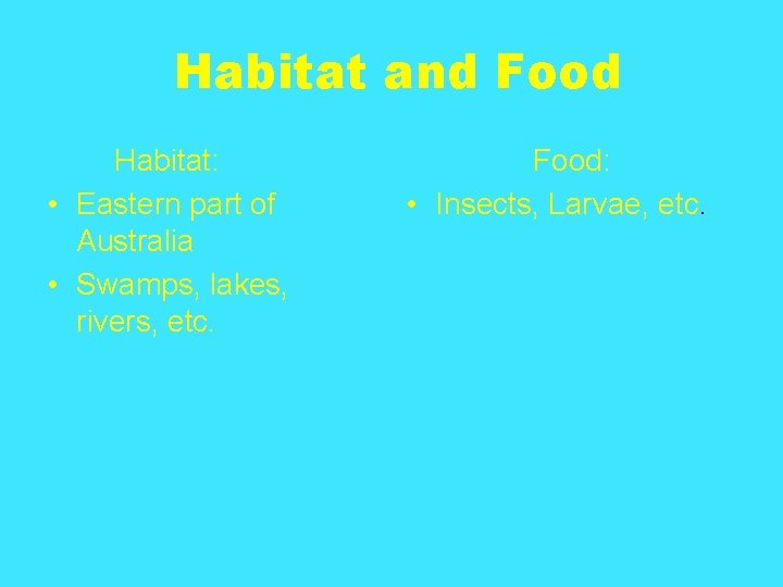 Habitat and Food Habitat: • Eastern part of Australia • Swamps, lakes, rivers, etc.