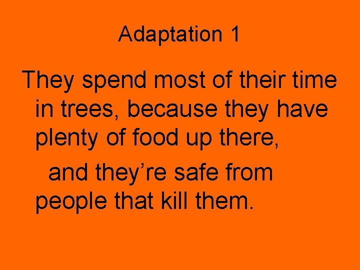 Adaptation 1 They spend most of their time in trees, because they have plenty