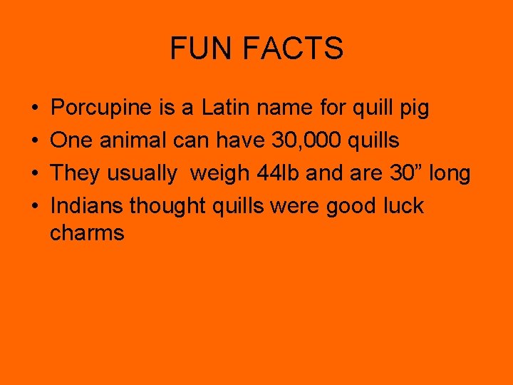 FUN FACTS • • Porcupine is a Latin name for quill pig One animal