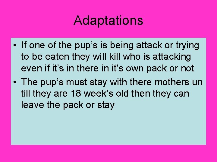 Adaptations • If one of the pup’s is being attack or trying to be