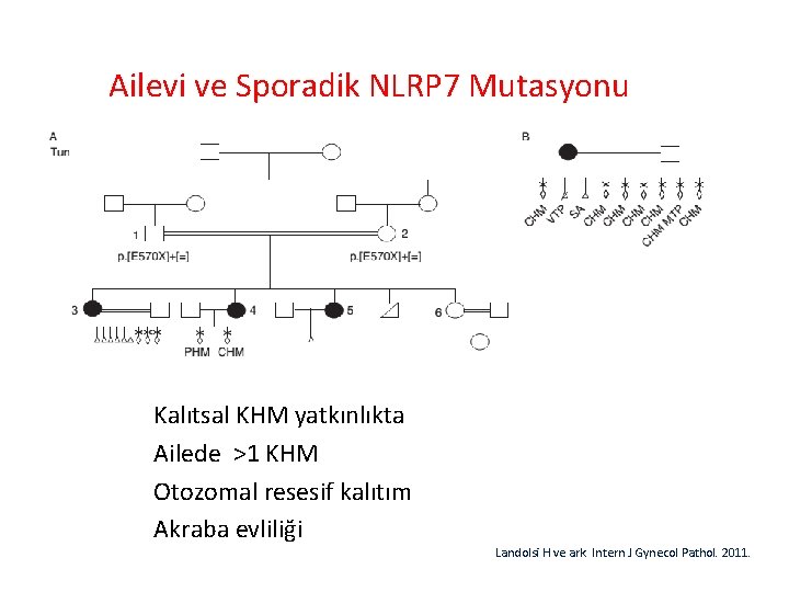 Ailevi ve Sporadik NLRP 7 Mutasyonu Kalıtsal KHM yatkınlıkta Ailede >1 KHM Otozomal resesif